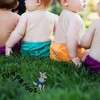 Kanga Care Rumparooz G3 OBV (Organic viscose from Bamboo Velour) One Size Pocket Cloth Diaper - 2 of 4