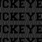 ohio state buckeyes
