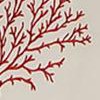 coral