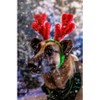 Midlee Christmas Reindeer Small Dog Antlers - 3 of 4