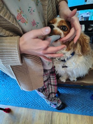 Guest review image 1 of 3, zoom in