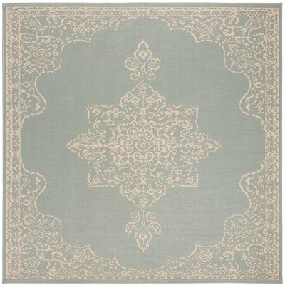Beach House BHS180 POWER LOOMED Rug - Safavieh
