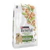 Purina Beneful Healthy Weight Real Chicken Flavor Dry Dog Food - 4 of 4