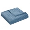 Kate Aurora Pastel Chic Embossed Leaves Ultra Plush Accent Throw Blanket - 50 in. W x 60 in. L - 4 of 4
