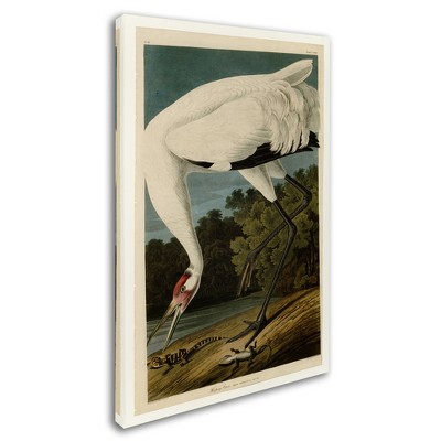 Trademark Fine Art -John James Audubon 'Whooping Crane' Canvas Art