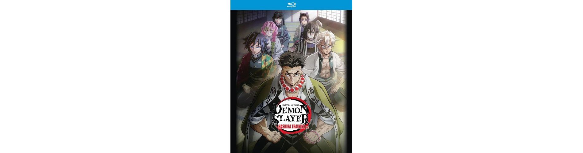 Demon Slayer: Kimetsu no Yaiba: Hashira Training Arc (Blu-ray)