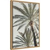 Amanti Art Palm 005 by Pictufy Studio III Framed Canvas Wall Art - 3 of 4