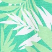 tropical palm leaf