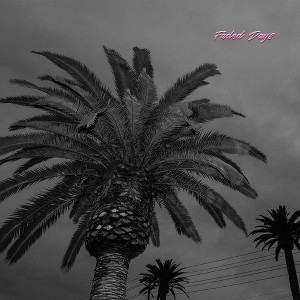 Actual Wolf - Faded Days (Vinyl) - 1 of 1