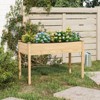 Tangkula 1/2 PCS Wooden Raised Garden Bed w/Legs Liner Drainage Holes Large Planter Box for Herb - 3 of 4