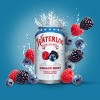 Waterloo Summer Berry Sparkling Water - 8pk/12 fl oz Cans - 4 of 4