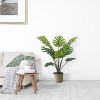 Floral Home 36" Split Philodendron Plant in Pot - 1-Piece - 2 of 4