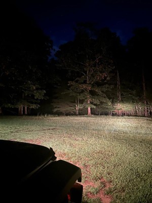 Guest review image 3 of 3, zoom in