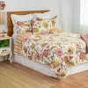 C&F Home 20" x 26" Celine Pink Floral Cotton Standard Sham - Machine Washable - 4 of 4