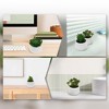 Unique Bargains Fake Succulent Plant for Office Desk Bathroom Kitchen Decor - 4 of 4