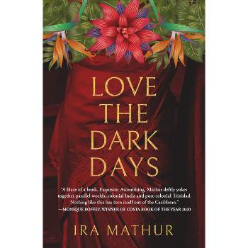 Love the Dark Days - by  Ira Mathur (Paperback)