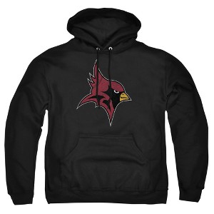 Men's St. John Fisher College Distressed Primary Logo Pull-Over Hoodie - 1 of 4