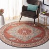 Tucson Vintage Persian TSN150 Power Loomed Machine Washable Skid-Resistant Indoor Rugs - Safavieh - 3 of 4