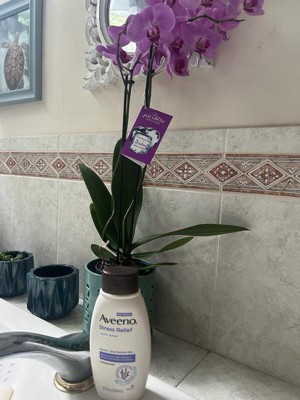 Guest review image 4 of 4, zoom in