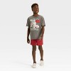 Boys' Five Nights at Freddy's Oversized Short Sleeve Graphic T-Shirt - Gray - 4 of 4