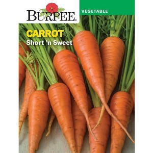 Burpee Carrot Short and Sweet Vegetable Seeds - 1 of 2