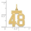 Black Bow Jewelry 14k Yellow Gold, Jersey Collection, Small Number 48 Pendant - 4 of 4