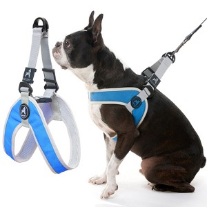 Gooby Simple Step in III Harness Blue, Large - 1 of 1