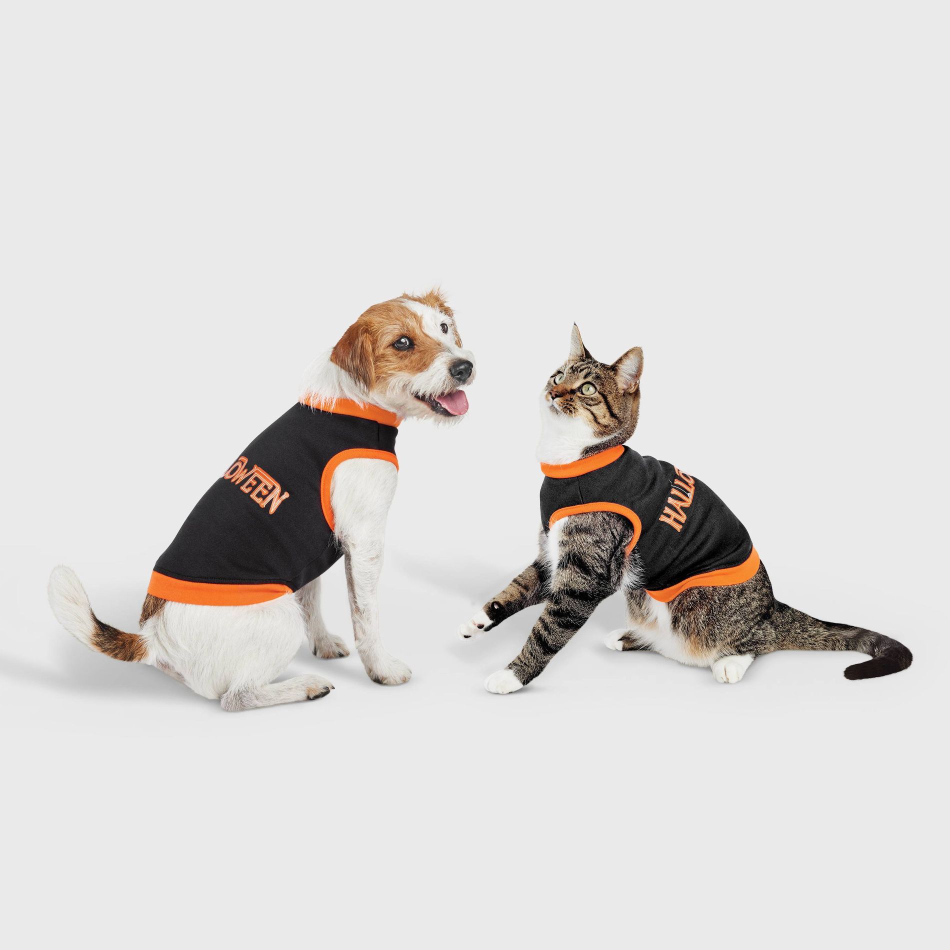 Halloween Dog and Cat Sweatshirt - Hyde and EEK! Boutique™