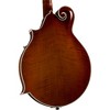 Kentucky KM-858 Artist F-Style Mandolin Gold - 4 of 4