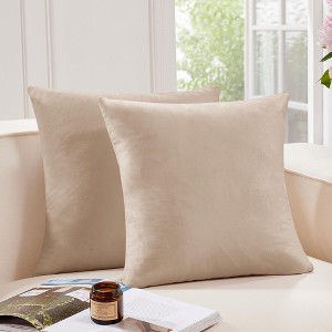 Deconovo Home Velvet Soft Decorative Pillow Covers Invisible Zipper Cushion Cover, 2-Pack - 1 of 4