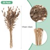 Unique Bargains Dried Grass Chasmanthium Oat Home Decor Flower Bouquet 1 Pc - 3 of 4