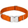Country Brook Petz Premium Nylon Dog Collar with Metal Buckle for Small Medium Large Breeds - Vibrant 30+ Color Selection - 2 of 4