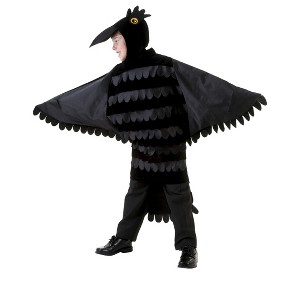 HalloweenCostumes.com Child Crow Costume - 1 of 1