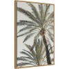 Amanti Art Palm 005 by Pictufy Studio III Framed Canvas Wall Art - 3 of 4