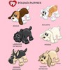 Girl's Pound Puppies Puppy Chart T-Shirt - 2 of 4