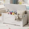 Storage Chest, Wooden Storage Bench with Safety Hinge, Easy Assembly, Large Toy Chest for Entryway, Living Room, Bedroom - 2 of 4