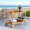VYNXARIA Wood 2-Tier Bar Cart with Detachable Tray 4 Lockable Casters & 1 Handy Handle - 3 of 4