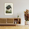 Amanti Art Lustr Great Blue Heron in Pearl White by John James Audubon Wood Framed Wall Art Print - 4 of 4