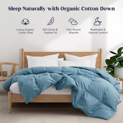 Puredown All Season Organic Cotton Down Comforter - 100% Natural, Chemical-Free, Medium Warmth Duvet Insert, Steel blue, Cal King
