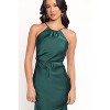 Petal and Pup Liana Midi Dress - 4 of 4