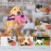 Attop 5 Pack Tough Dog Toys Stuffed Squeaky Dog Toys Assortment Plush Animal Dog Toy Value Bundle Puppy - 3 of 4
