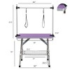 42" Heavy Duty Pet Grooming Table with Adjustable Arm and Clamps,Dog Drying and Trimming Table for Large and Medium Pets–LAOTIES - 2 of 4