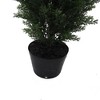 Vickerman Artificial Cedar Tree In Pot UV - 4 of 4