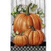 Briarwood Lane Fall House Flag 40x28 For Outdoor Country Pumpkins For Fall House Flag - 3 of 4