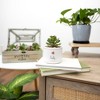 Pavilion Gift Company - Lucky - Ladybug - Mini 5" Indoor Artificial Succulent Plastic Potted Plant Planter Shelf Decor - 2 of 4