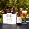 New Belgium Trippel Belgian Style Ale - 6pk/12 fl oz Bottles - 3 of 4