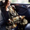 Jack Russell Terrier Dog Print Flannel Blanket, Versatile Plush Fleece Blanket for Pet Lovers, Christmas Gift. - 4 of 4
