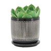 Bencmate Planters Small Stripe Plant Pot with Drainage Plug and Stand and Legs, Indoor Home Office Table Plants Flowers Herb, Multicolored, 6"*6"*6" - 2 of 4