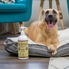 Natural Dog Company Liquid Glucosamine Food Dog Topper - Unflavoured - 32 fl oz - 3 of 4