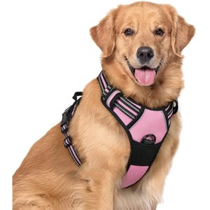 rabbitgoo Dog Harness No Pull with 2 Leash Clips, Control Handle for Large Dogs, Pink, XL - 1 of 1